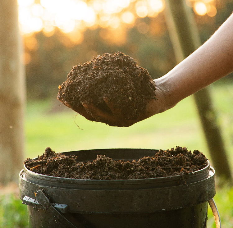 Margo Compost Compost For Sale – The Maslow Initiative